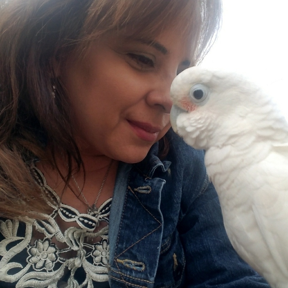 Meet your Posher, Monica